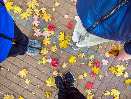 Three people standing on an autumn sidewalk strewn with yellow leaves, top down view