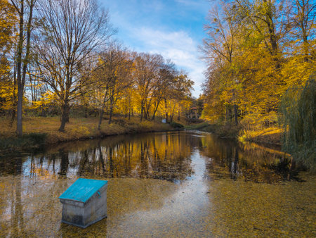 Sunny autumn landscape of the park on a sunny day. Park and pond. Yellow trees with falling leavesの写真素材