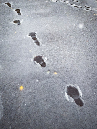 boot prints in wet snow on a cloudy winter dayの写真素材