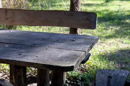wooden gazebo for picnic in the forestの写真素材