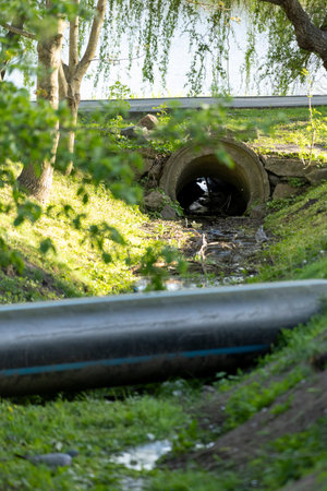A small stream of water flows slowly towards a round concrete drainage pipe, framed by natural...