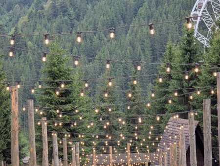 There are an abundance of colorful lights suspended from the branches of the trees, creating a magical atmosphere during the nightsの写真素材