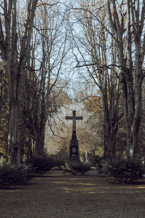 Ehrenfriedhof World War II military cemetery in Cologne. White gravestones of the cemetery of honor at the Sudfriedhof Cologneの写真素材