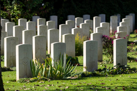 Ehrenfriedhof World War II military cemetery in Cologne. White gravestones of the cemetery of honor...