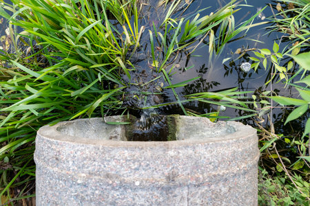 Concrete drainage pipe releasing water into a river surrounded by vegetation.