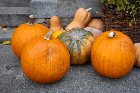 Large ripe orange pumpkins lie on the pavement, symbolizing Thanksgiving and Harvest Day with their warm colors and festive seasonal atmosphere.の写真素材