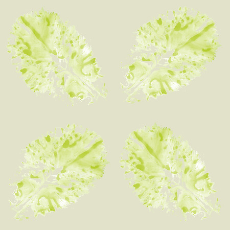 background with lettuce