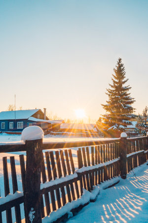 winter landscape in the village with sun and spruceの写真素材
