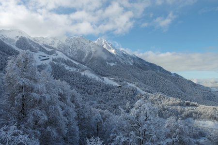 Winter landscape with snow covered trees and mountains in the background under blue skyの写真素材