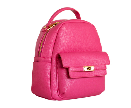 isolated pink backpack with accessories gold colorの写真素材