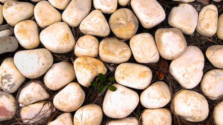 set of rounded light and smooth stonesの写真素材