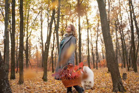 beautiful woman in a white dress walks in the autumn park with a white dog. redhead girl with samoyed dog in the yellow forest. a luxurious womanの写真素材
