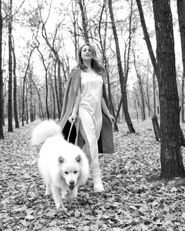 beautiful woman in a white dress walks in the autumn park with a white dog. redhead girl with samoyed dog in the yellow forest. a luxurious woman.の写真素材