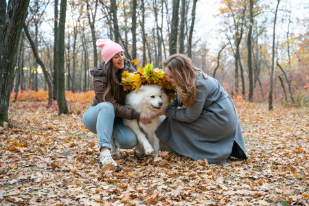 two beautiful smiling girls with Samoyed dog in the autumn park. redhead and brunette women have fun with fluffy beautiful dogの写真素材