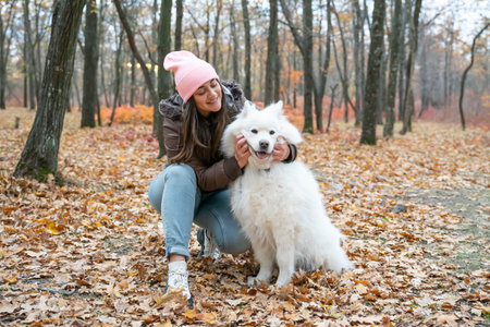 beautiful smiling girl with  Samoyed dog in the autumn park. brunette woman have fun with fluffy beautiful dog . girl is kissing her dogの写真素材