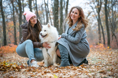 two beautiful smiling girls with  Samoyed dog in the autumn park. redhead and brunette women have fun with fluffy beautiful dogの写真素材