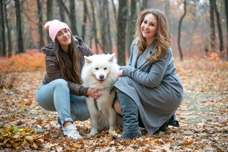 two beautiful smiling girls with  Samoyed dog in the autumn park. redhead and brunette women have fun with fluffy beautiful dogの写真素材