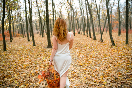 portrait of young red-haired woman in autumn forest. girl in a long white dress with basket. Beautiful women's body in silk nightwear. nymph.wreath of flowersの写真素材
