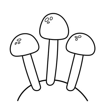 Edible mushrooms. Vector illustration in doodle style.のイラスト素材