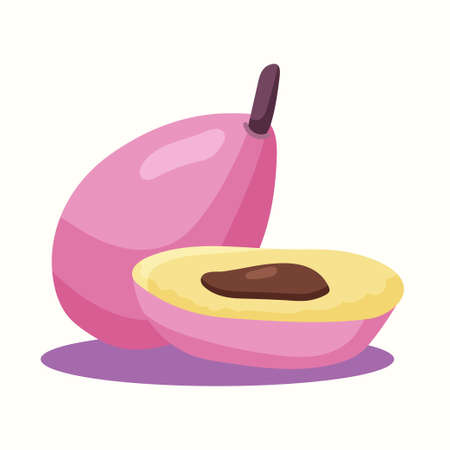 Ripe plum. Vector illustration in flat styleのイラスト素材