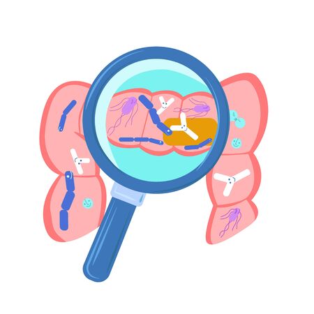 Vector flat intestine with a magnifying glassのイラスト素材