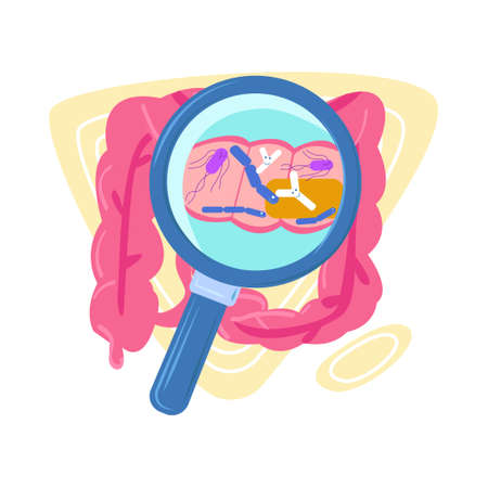 Vector flat abstract bowel under magnifying glass.のイラスト素材
