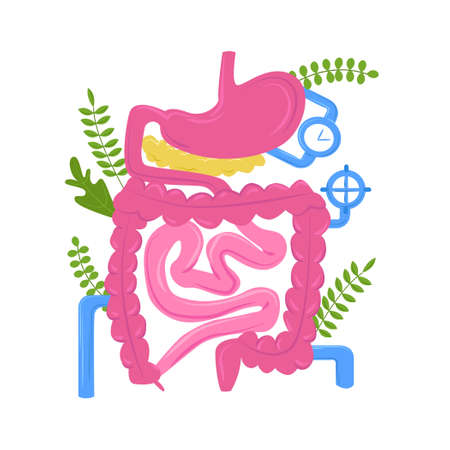 Vector isolated illustration anatomical organ of gastrointestinal tract against background metaphorical pipes, plant elements. Concept gastroenterology, nutrition, probiotics, diseases.のイラスト素材