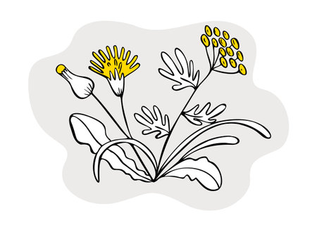 Vector isolated flat drawn illustration with plants, flowers. Lines and color are used.のイラスト素材