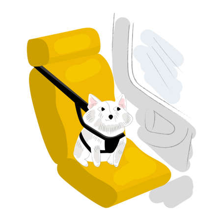 Vector isometric illustration small dog sitting in car auto seat, bag, with holding harness. Concept special holding device for safe transport pets.のイラスト素材