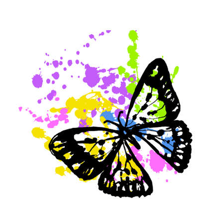 An Exotic, Wild Butterfly on colorful background.のイラスト素材
