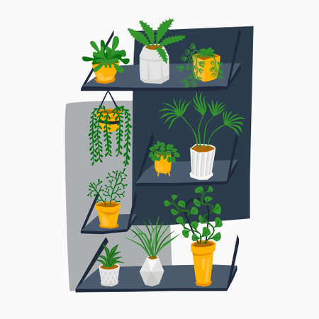 set of green house plants in pots on shelves.のイラスト素材