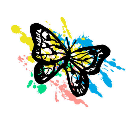 Vector hand drawn illustration with exotic, wild butterfly on colorful background of splashing drops. The concept tropical flying insects with beautiful wings, nature, romance.のイラスト素材