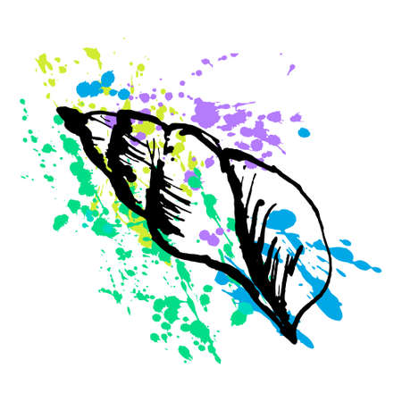 The Oyster Shell is linear Drawn on a Backgroundのイラスト素材