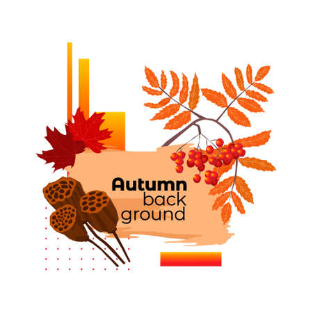 abstract frame on the theme of autumnのイラスト素材