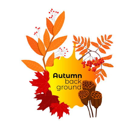 abstract frame on the theme of autumn.のイラスト素材