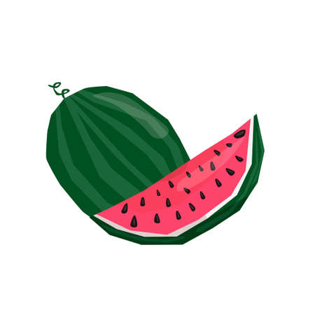 A whole watermelon and slice are depicted.のイラスト素材