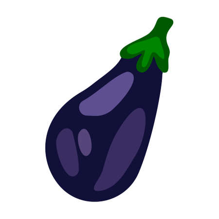 Vector isolated flat simple flat illustration of a whole eggplant. The concept of vegetables, farm, natural products, cooking. You can use the element in web design, banners, etc.のイラスト素材