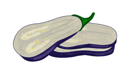 Vector isolated illustration with set of eggplant slices cut lengthwise with pulp and peel. Concept farm, natural products, vegetables, cooking, etc. You can use elements in web design, banners, etc.のイラスト素材