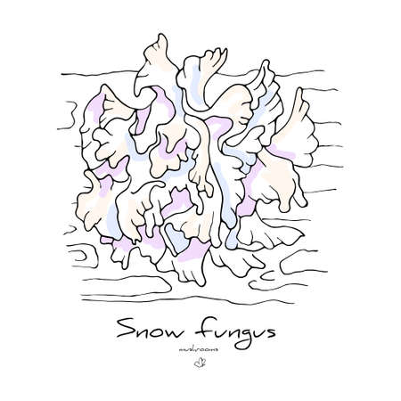 isolated illustration with a set of snow fungusのイラスト素材