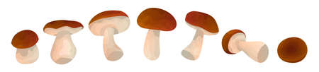 Vector set with wild White isolated Mushroomのイラスト素材