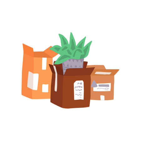 image a set of open and closed multi colored boxesのイラスト素材