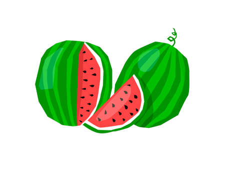 Vector isolated illustration with whole watermelon and part. Concept of fruit, summer, vitamin. You can use in web design, postcard, banner, etc.のイラスト素材