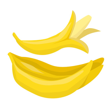 Vector isolated illustration with whole bananas and semi-peeled banana. Concept of fruit, summer, vitamin. You can use in web design, postcard, banner, etc.のイラスト素材
