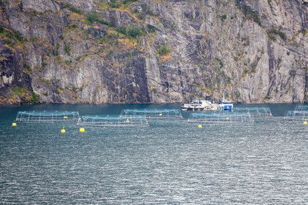 Fish farm or aquaculture farm in norwegian fjordの写真素材