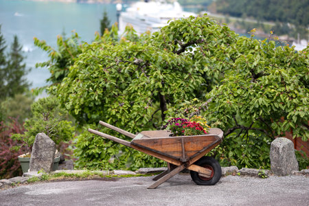 Small wheelbarrow with flowers and a cruise ship in the backgroundの写真素材