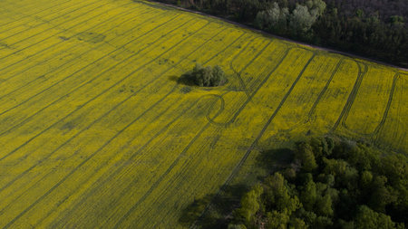 Beautiful aerial photography of nature in summer