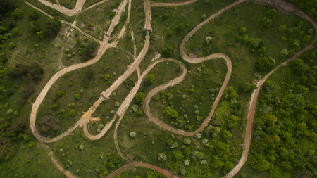 Beautiful forest trail top view shot from the droneの写真素材