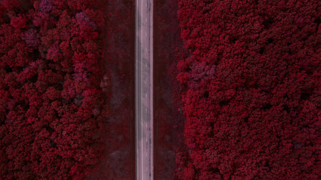 Beautiful road top view shot from the droneの写真素材