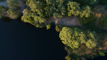 Beautiful trees shot on drone. View from above.