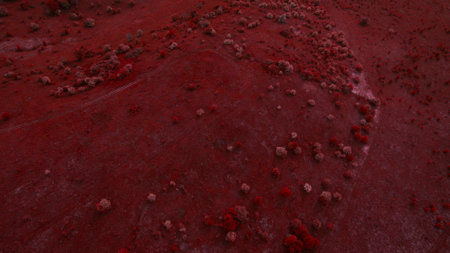 Beautiful picture top view shot from the droneの写真素材